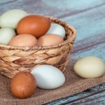 Mediolanum 5D Strategy: la diversificación como esencia