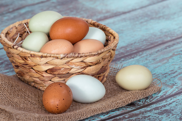 diversificacion financiera 5D strategy