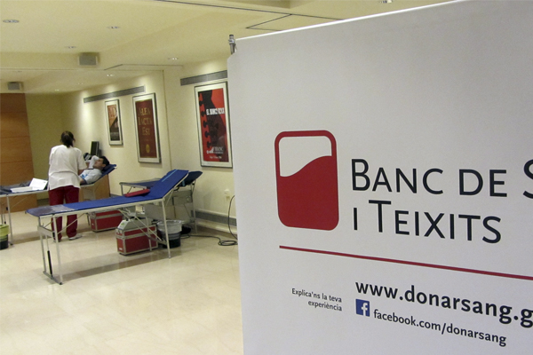 dia del donante de sangre