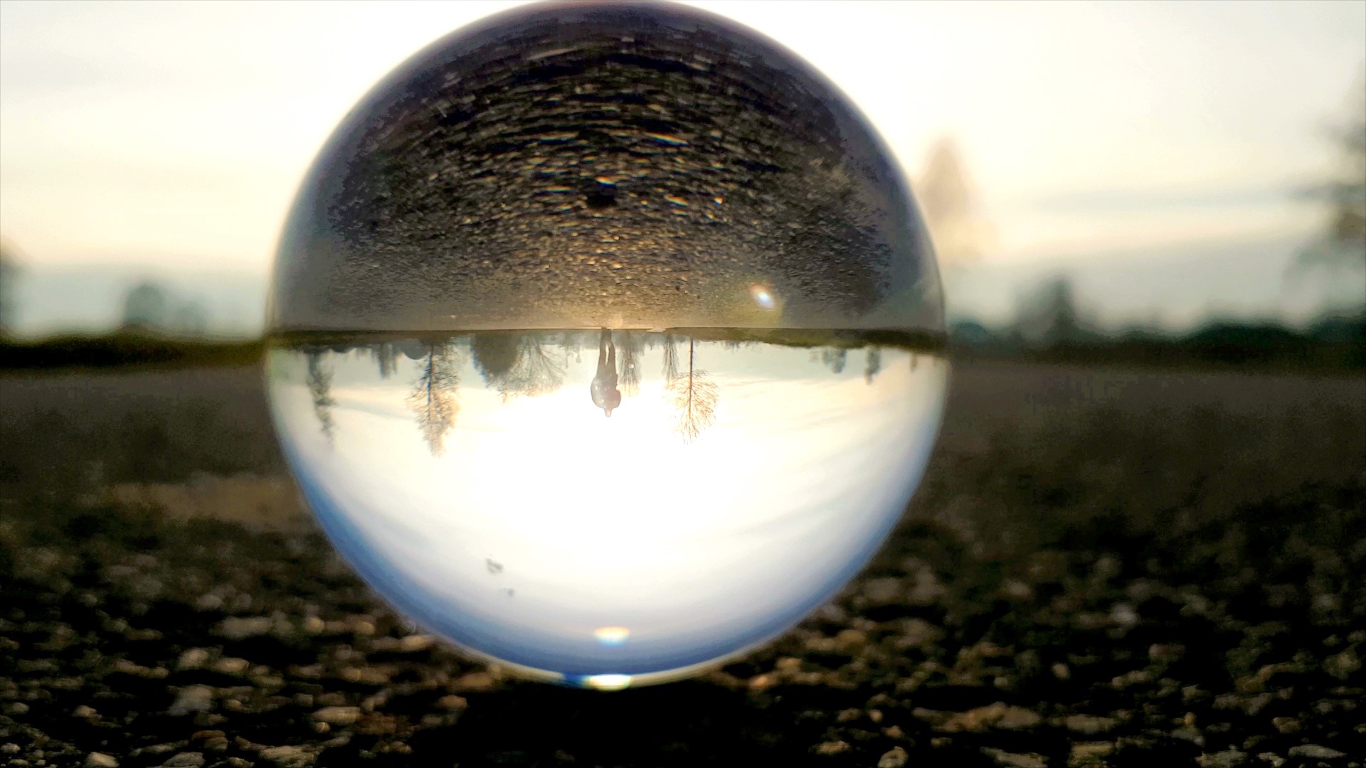 Economía circular: qué es y cómo aplica