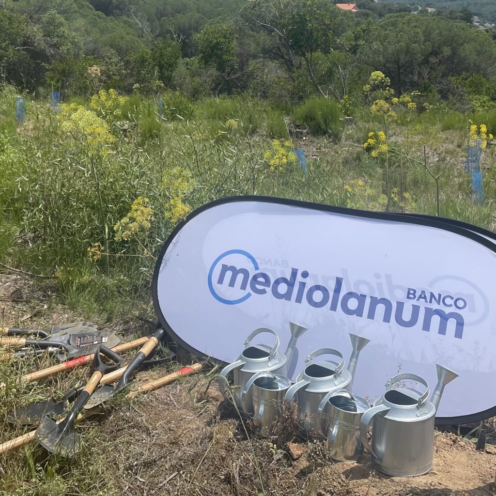 Banco Mediolanum planta un árbol por ti