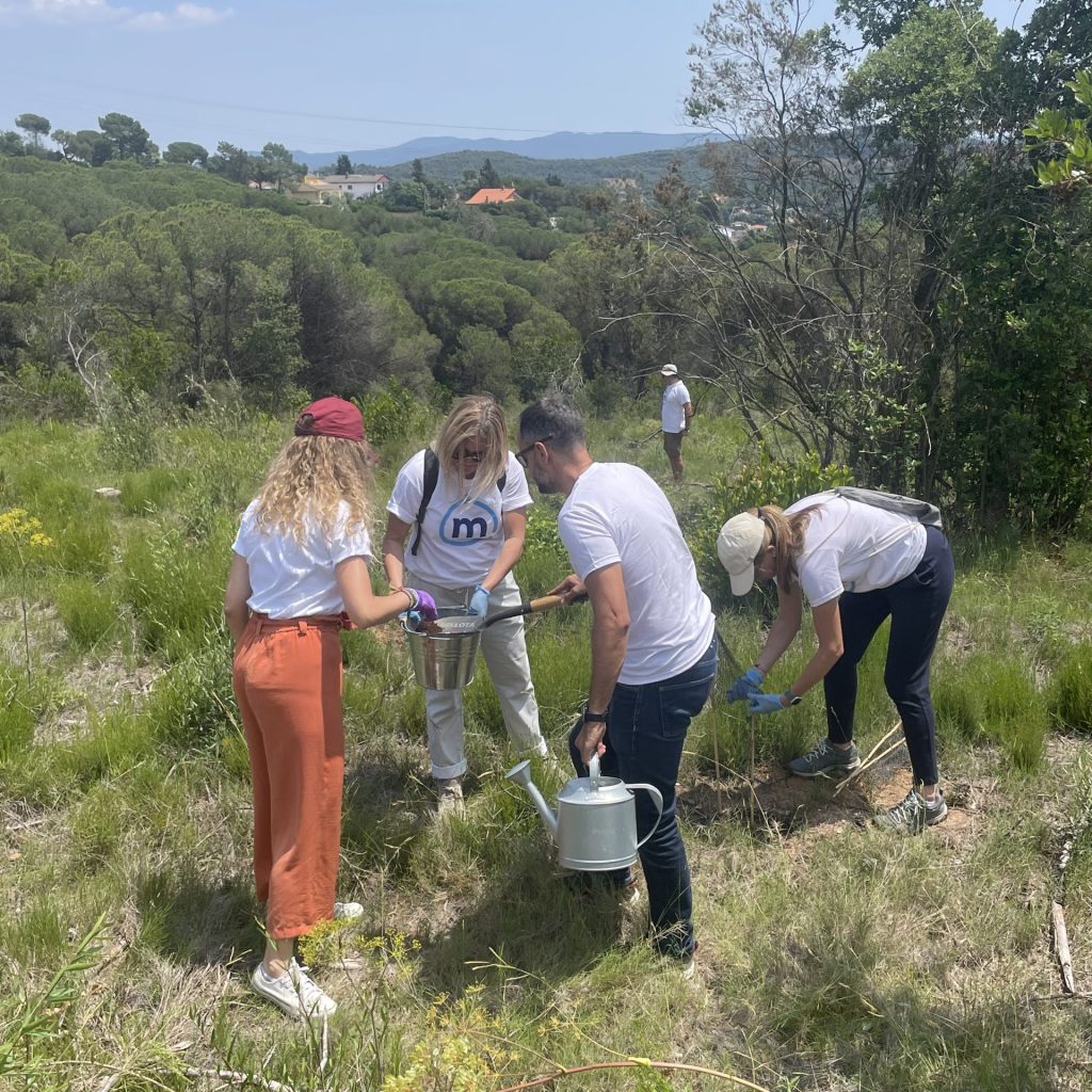 Banco Mediolanum planta un árbol por ti