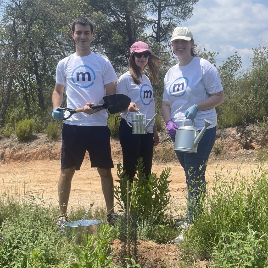 Banco Mediolanum planta un árbol por ti