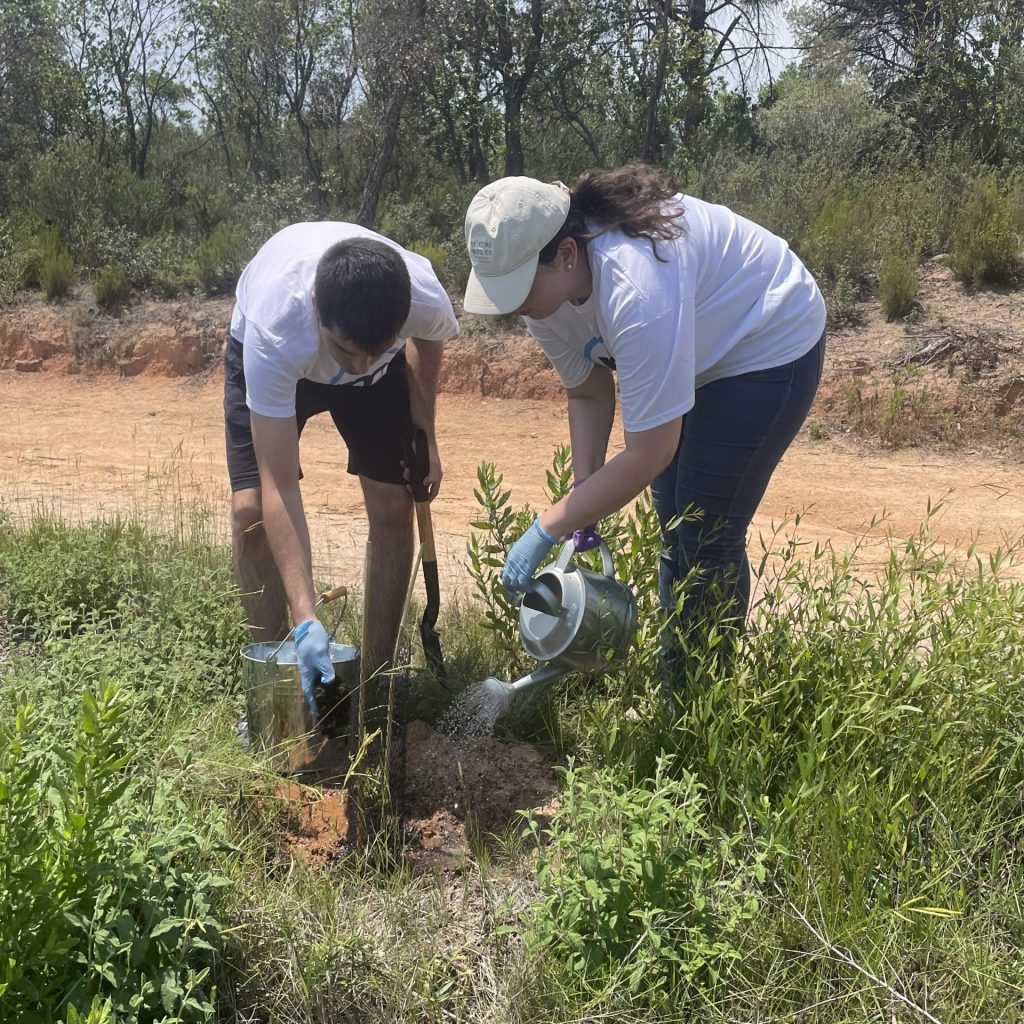 Banco Mediolanum planta un árbol por ti